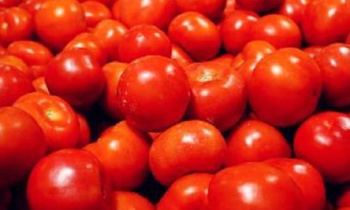 How to Preserve Tomatoes for Extended Periods