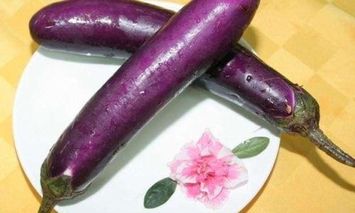 How to Maintain Freshness in Eggplants for Extended Periods