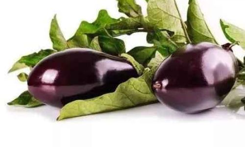 How to Maintain Freshness in Eggplants for Extended Periods