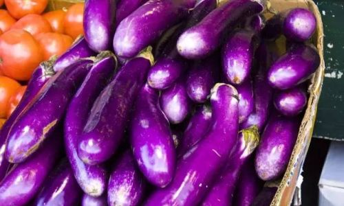 How to Maintain Freshness in Eggplants for Extended Periods