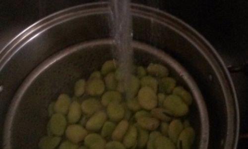 How to Preserve Fresh Broad Bean Sprouts for Long-Term Storage