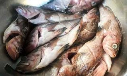How to Fry a Whole Black Fish Perfectly