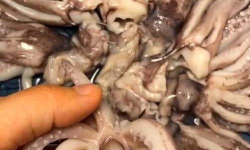How to Cook Delicious Squid at Home:A Comprehensive Guide