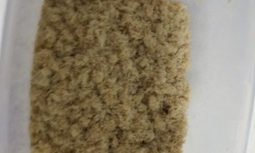 How to Make Homemade Pork Floss at Home