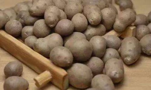 How to Prevent Yam Bean Sprouting:Comprehensive Strategies for Storage and Preservation