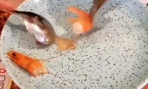 The Art of Elegantly Peeling Shrimp