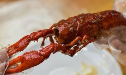 The Art of Elegantly Peeling Shrimp
