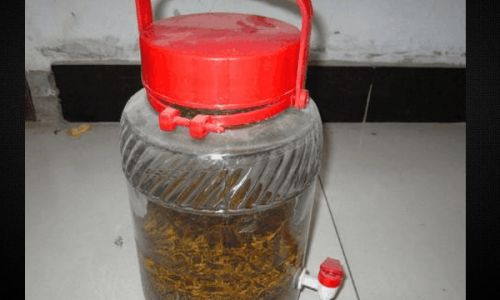 The Art of Infusing Scorpion-Infused Liquor:A Traditional Practice Explored
