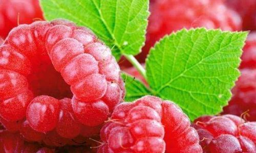 How to Make Raspberry Wine:A Comprehensive Guide