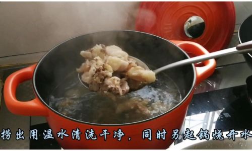 Mastering the Art of Cooking Beef Tendons and Brain in a Pressure Cooker