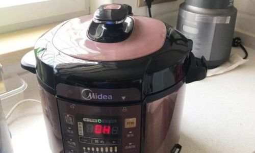 How to Cook Rice Perfectly Using an Electric Pressure Cooker