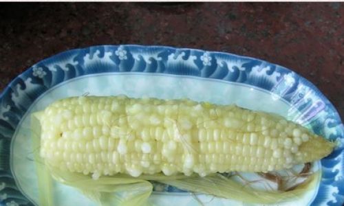 How to Cook Corn in an Electric Pressure Cooker