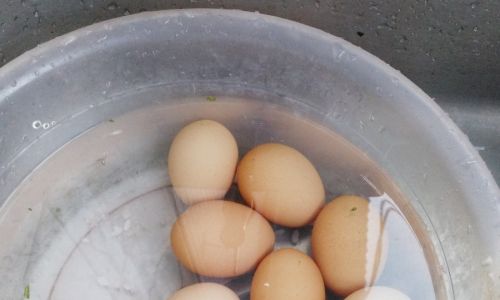 How to Quickly Boil Eggs Using an Electric Rice Cooker