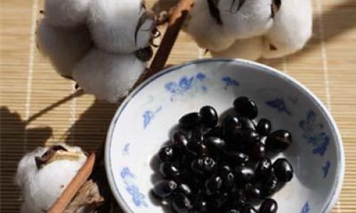 The Ultimate Guide to Properly Soaking Black Beans in Vinegar