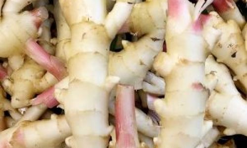 How to Preserve Fresh Tender Ginger with Salt for Optimal Flavor