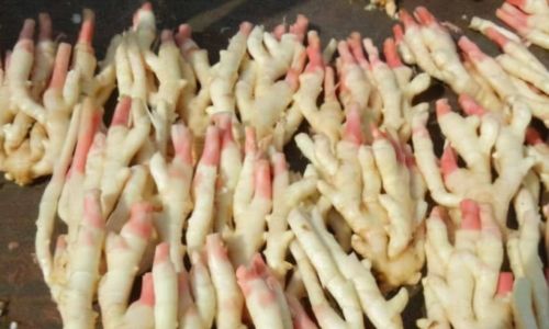 How to Preserve Fresh Tender Ginger with Salt for Optimal Flavor