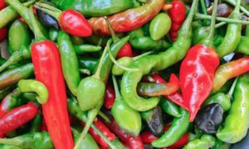 How to Pickle Chili Peppers:A Comprehensive Guide