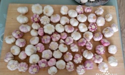 Mastering the Art of Authentic Sweet and Sour Pickled Garlic