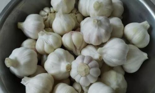Mastering the Art of Authentic Sweet and Sour Pickled Garlic