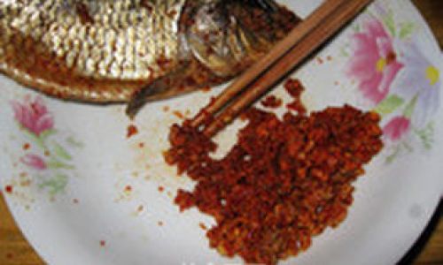 The Art of Preserving Flavor:How to Properly Cure Fish