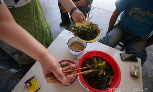 How to Pickle Saag Allium Mongolicum)A Traditional Preservation Technique