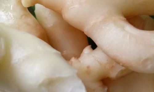 Mastering the Art of Pickling Ginger:A Comprehensive Guide