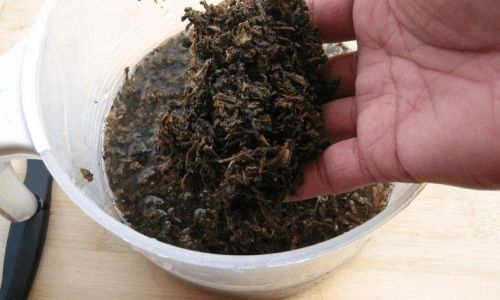 How to Make Dried Plum-like Vegetables Mei Gan Cai)