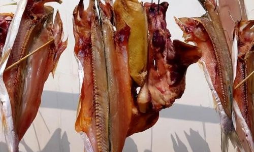 How to Craft Perfectly Preserved Dried Fish