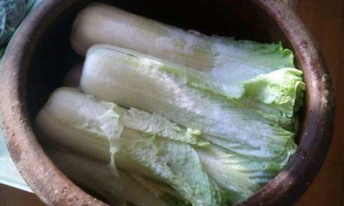 Mastering the Art of Crafting Delicious Sauerkraut