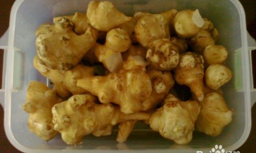 How to Pickle Jerusalem Artichokes for a Delightful Taste