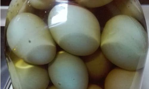 How to Make Delicious and Easy-to-Make Pickled Duck Eggs