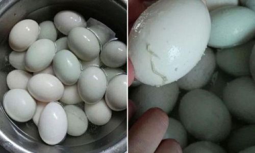 Mastering the Art of Making Oily yet Not Overly Salty Salted Duck Eggs