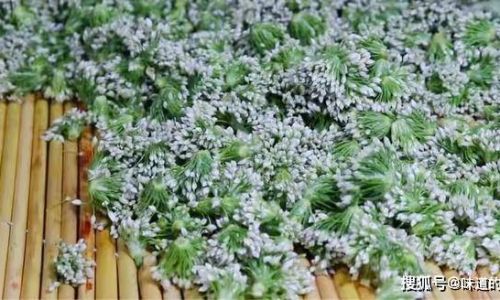 Mastering the Art of Pickling Chives Blossoms for a Delightful Taste