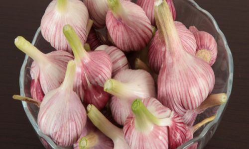 How to Pickle Garlic:A Step-by-Step Guide