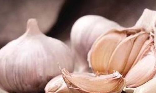 How to Pickle Garlic:A Step-by-Step Guide