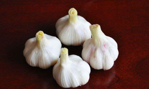How to Pickle Garlic:A Step-by-Step Guide
