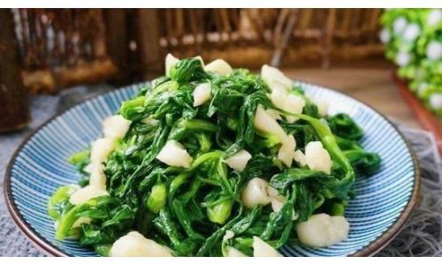 A Comprehensive Guide on How to Select the Perfect Seaweed:Undaria Pinnatifida,or Wakame