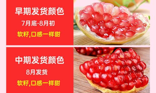 How to Select Sweet Guava:A Comprehensive Guide