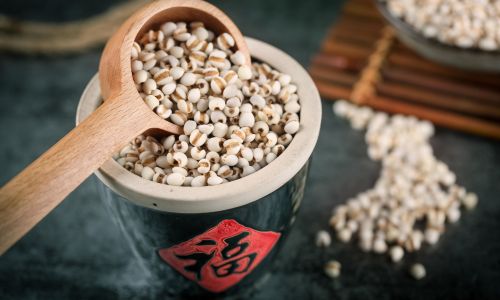 How to Choose the Best Coix Seed Jobs Tears)for Your Health Needs