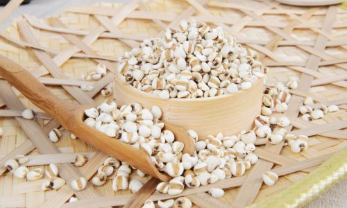 How to Choose the Best Coix Seed Jobs Tears)for Your Health Needs
