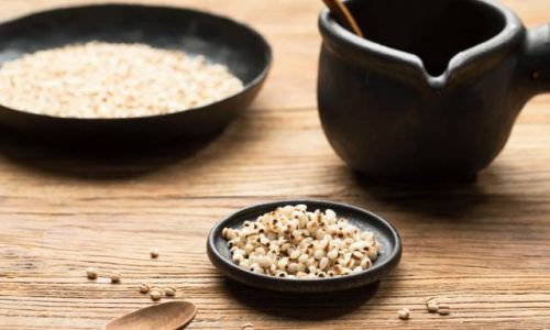 How to Choose the Best Coix Seed Jobs Tears)for Your Health Needs
