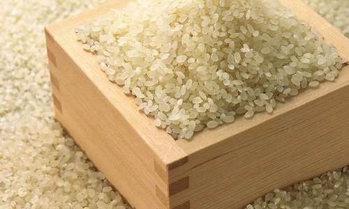 A Comprehensive Guide on How to Choose the Best Rice