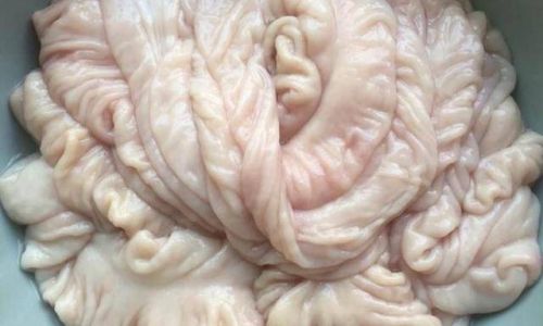 How to Clean Sheep Intestines Quickly and Thoroughly