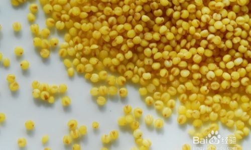 How to Select High-Quality Yellow Millet:A Comprehensive Guide