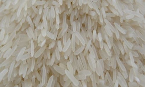 How to Select High-Quality and High-Yield Rice