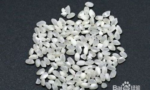 How to Select High-Quality and High-Yield Rice