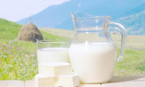 How to Select High-Quality Fresh Milk