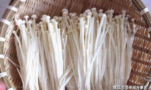 How to Select High-Quality Enoki Mushrooms