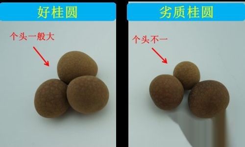 How to Select High-Quality Dried Longan