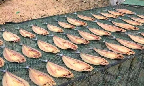 How to Select Fresh Fish Dried:A Comprehensive Guide